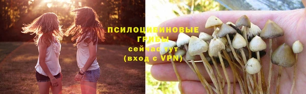 гашиш Аркадак