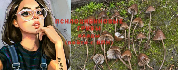 гашиш Аркадак