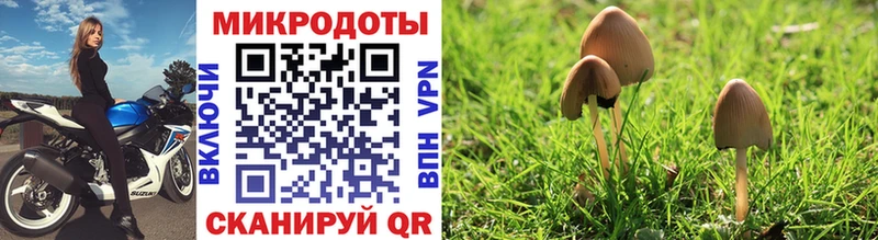 Галлюциногенные грибы Psilocybe  mega сайт  Оханск  купить  сайты 